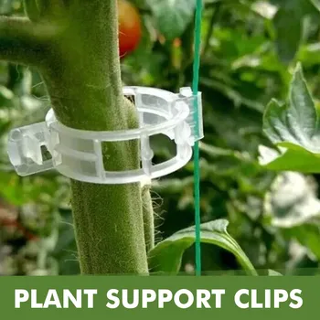 50Pcs пластмасови клипове за поддръжка на растенията за растителна защита на растенията за растителна защита за присаждане на инструменти за градински консумативи за зеленчукови домати