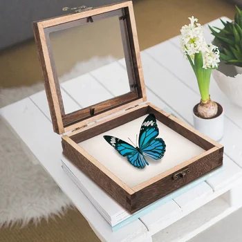 Образец витрина Дървена кутия за събиране на екземпляри Сушена кутия за цветя